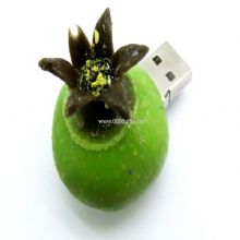pomegranate usb flash drive images
