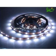 MD5050 Single Color FPC 5M Low Voltage LED Strip Lights for Indoor or Outdoor Decoration images