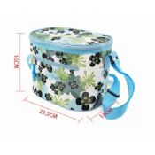 Cooler Bag for Frozen Food images