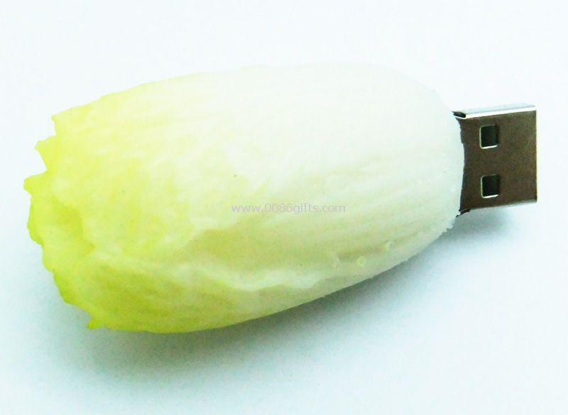 zeleninové usb flash disk