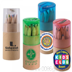 Lápis coloridos no tubo de papelão