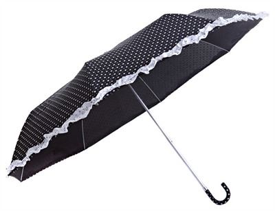 Французькому стилі дами парасольку