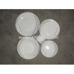 20pcs Ceramic Dinnerware Sets,Customized Designs Accepted, Dishwasher and Microwave safe