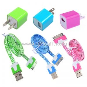 Mini 2 i 1 lader Kit (USB makt Adapter + USB kabel) for iPhone 4/4S/3GS/3G