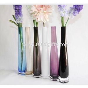 Glas vase til enkelt blomst sæt