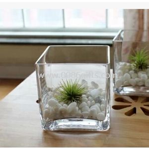 Vase cube transparent
