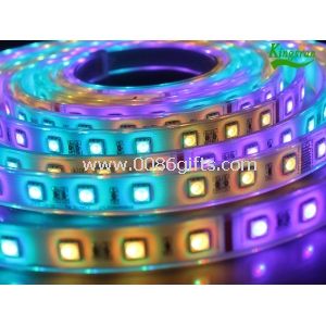 DC 24V RGB High luminous Strip Low Voltage LED Rope light for Car / Advertisement