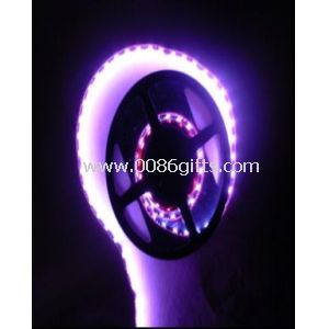 IP65 3 - 8W SMD Flexible LED Strip Lights With Long Life Span