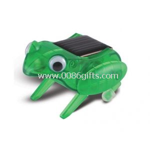 Solarenergie Spielzeug Frosch