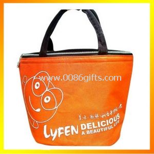 Practical insulated cooler bag