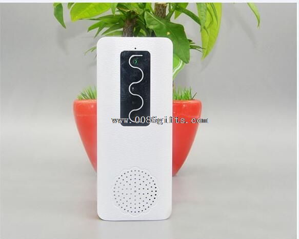 Bluetooth speaker power bank