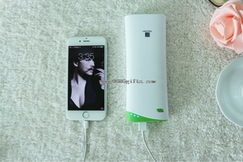 Dual USB output power bank