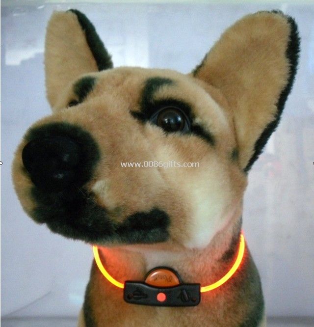 Dog Flashing Products