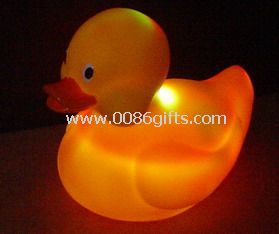 Wasserbeweis Leuchten Stimmung Ente