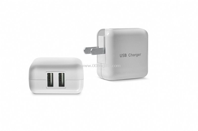 Double usb home charger