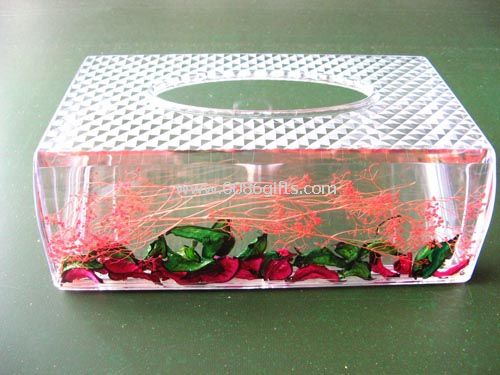 Liquid tissue box