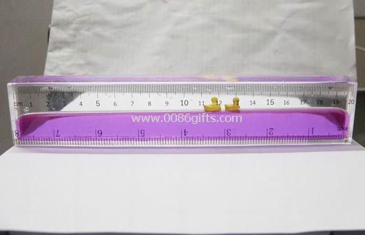 Liquid ruler with floater