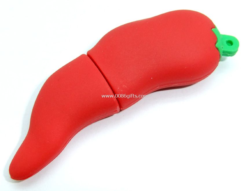 Chile forma usb