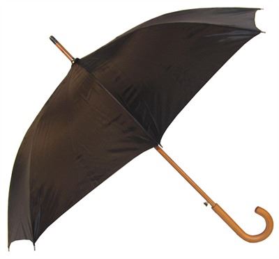 Parapluie en bois dames