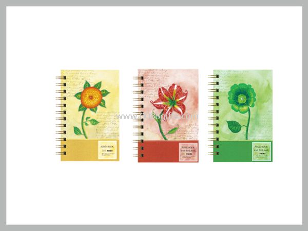 Espiral - cuaderno encuadernado 25