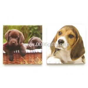 Magnete del frigorifero dell"immagine di cane stampato