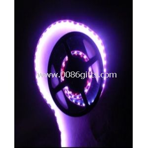 IP65 3 - luci di striscia flessibile del LED SMD 8W con portata di lunga vita