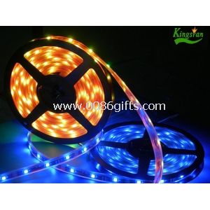 Luci di striscia di IP65 impermeabile flessibile 5m bassa tensione LED 5050 SMD rosso verde blu