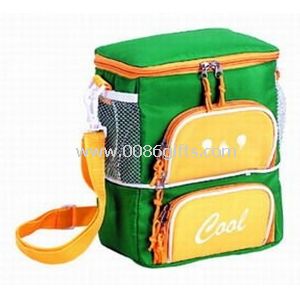 Cooler bag