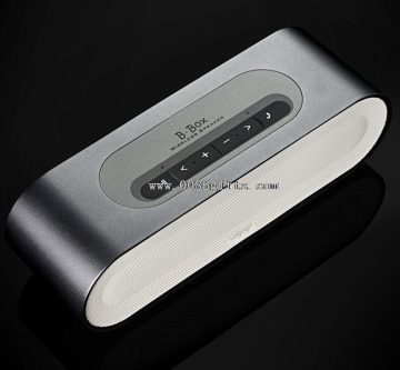 Haut-parleur Bluetooth avec radio