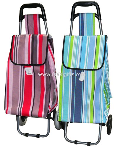 bolsa carrito compras