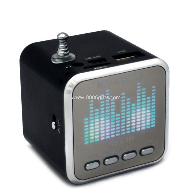 Card Reader speaker with FM Radio