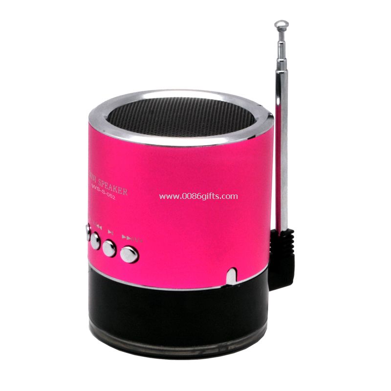 FM Radio speaker