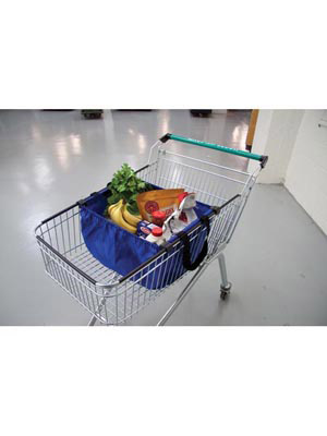 Trolley mate