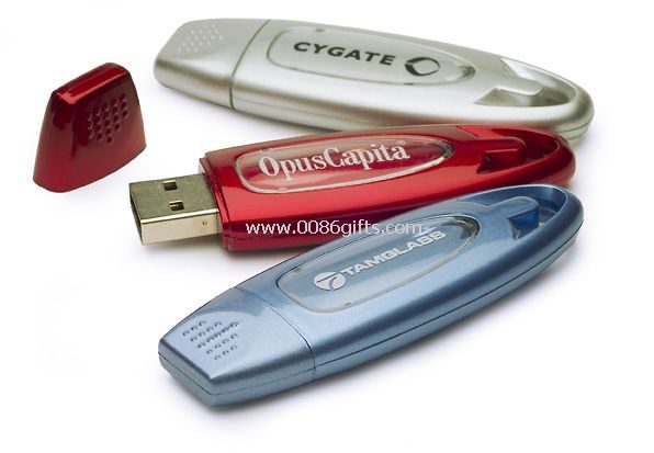 Gåva usb-minne