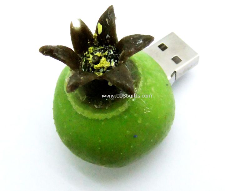 Nar usb birden parlamak götürmek