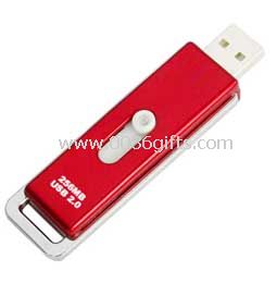 Push usb flash drive