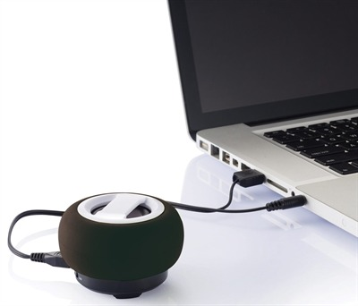 Manhattan Speaker