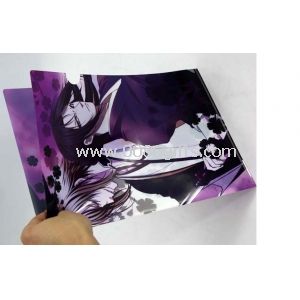 Plastic L shape Fancy pp A4 size file folder of uv printing