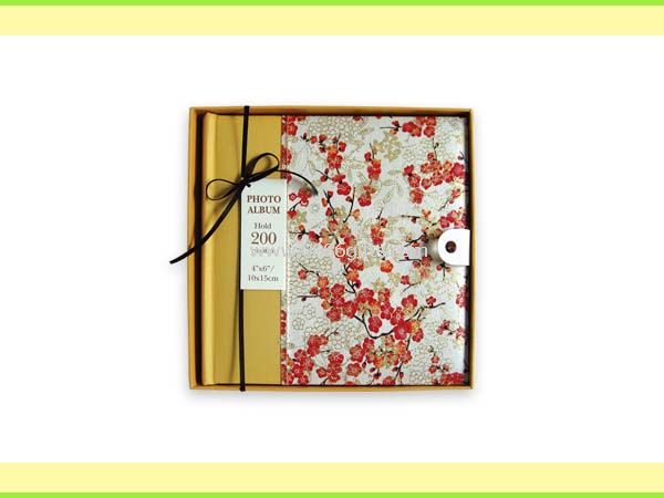 Photo Album 56