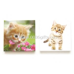 Cat Picture Fridge Magnet