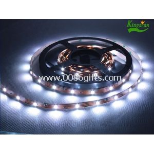 MD5050 Enda färg FPC 5M låg spänning LED Strip ljus för inomhus eller utomhus dekoration