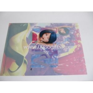 PP cartonn file folder