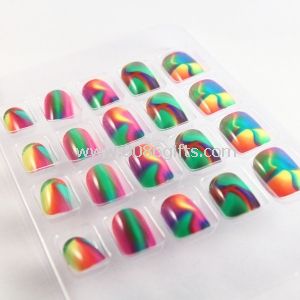 Glitter Fake Nails