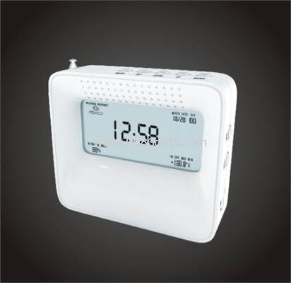Weather Forecast and FM Radio with Calendar