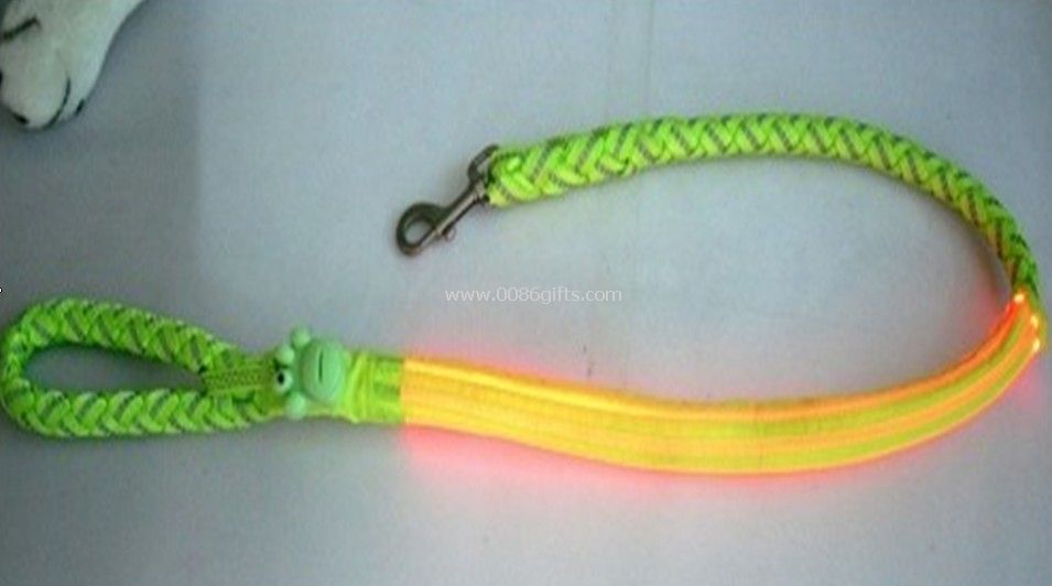pet flashing Leash