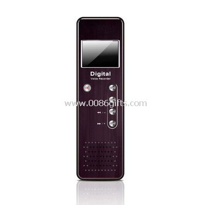 Digital Voice Reader with FM Radio