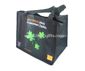 80g PP non-woven Shopping Bag