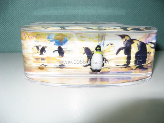 Liquid fridge magnet with floater