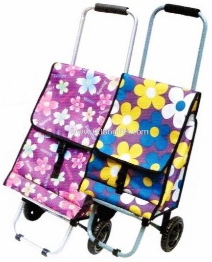 Shopping trolley bag