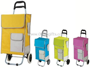 Shopping trolley bag